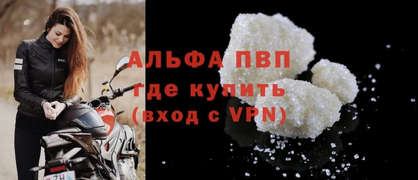 индика Медвежьегорск