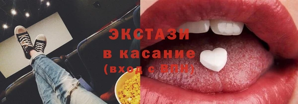 индика Медвежьегорск