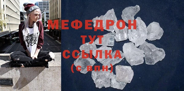 индика Медвежьегорск