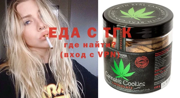 индика Медвежьегорск