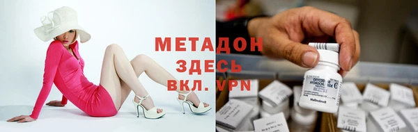 индика Медвежьегорск