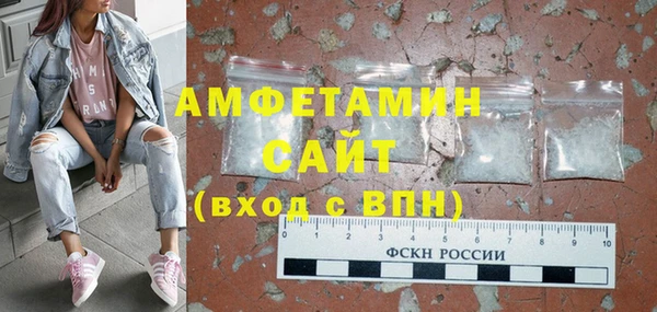 индика Медвежьегорск