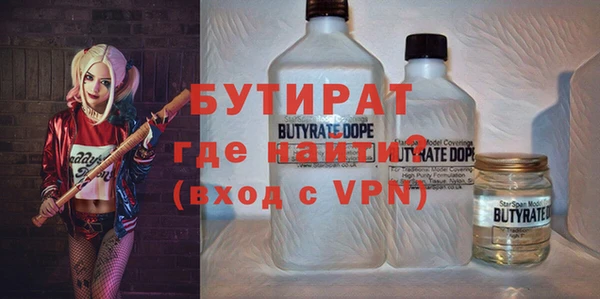 индика Медвежьегорск
