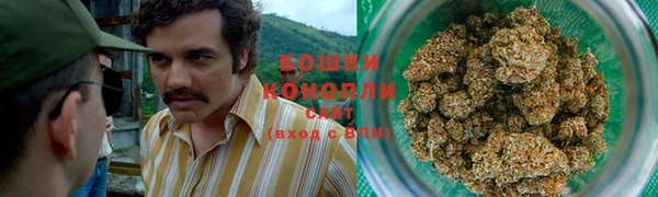 каннабис Майский