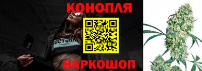 мяу мяу мука Гатчина