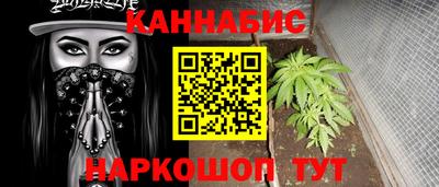 мяу мяу мука Гатчина