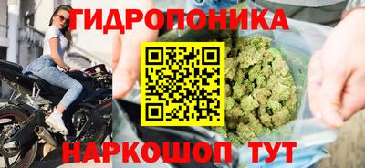 мяу мяу мука Гатчина