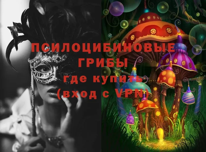 Псилоцибиновые грибы Cubensis  Рыбинск 